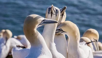 爱游戏体育APP下载-榜眼战！女足将士逐鹿赛场，胜负凭君决断，女足主将