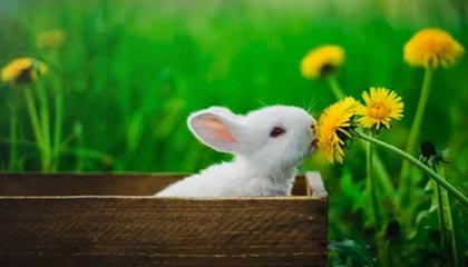 爱游戏电竞官网-瑞典马德里战记 测试球队实力前景 欧预赛在即，马德里竞技ds