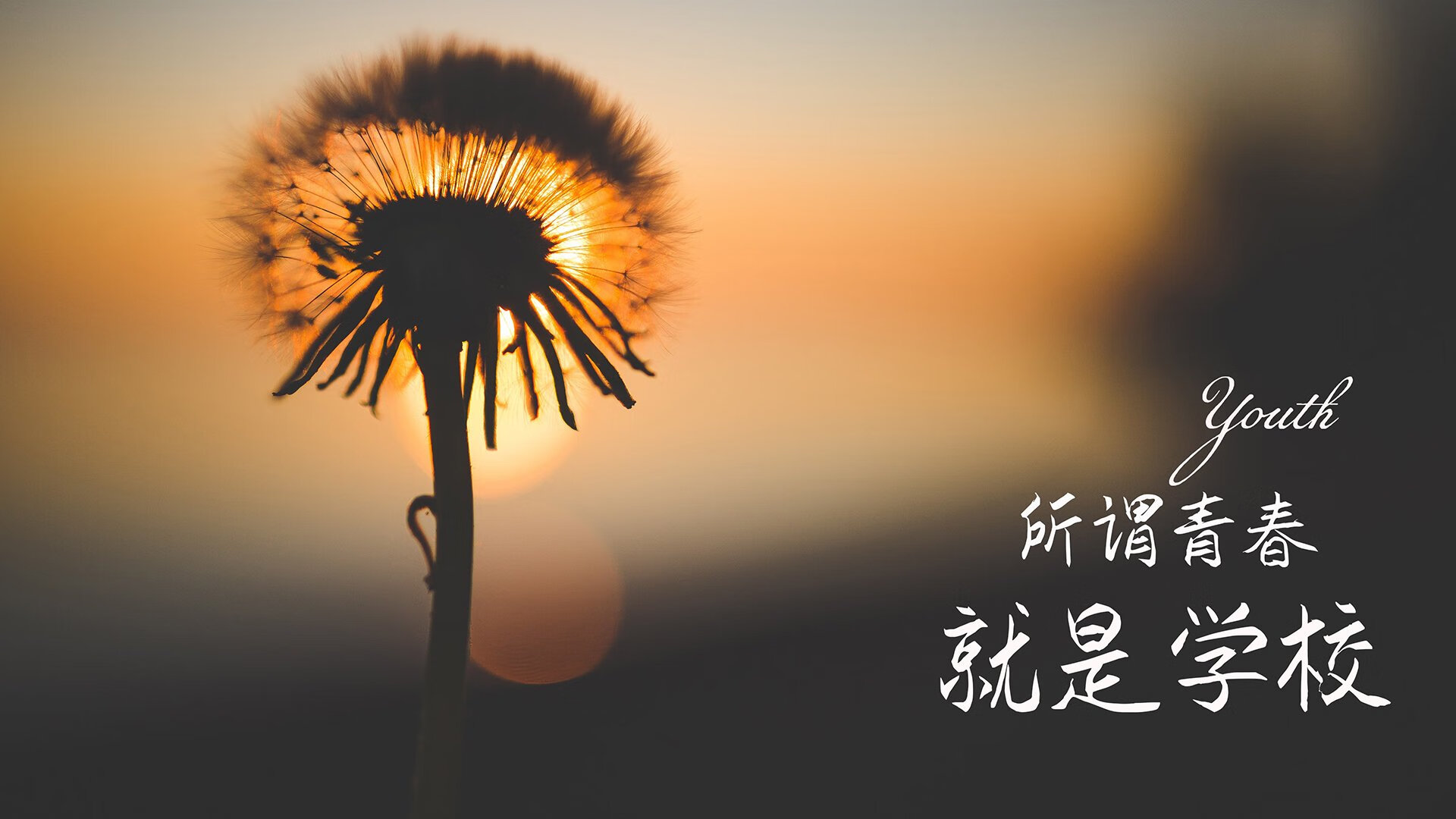 沃特福德主场小胜，为保级注入信心，沃特福德中场