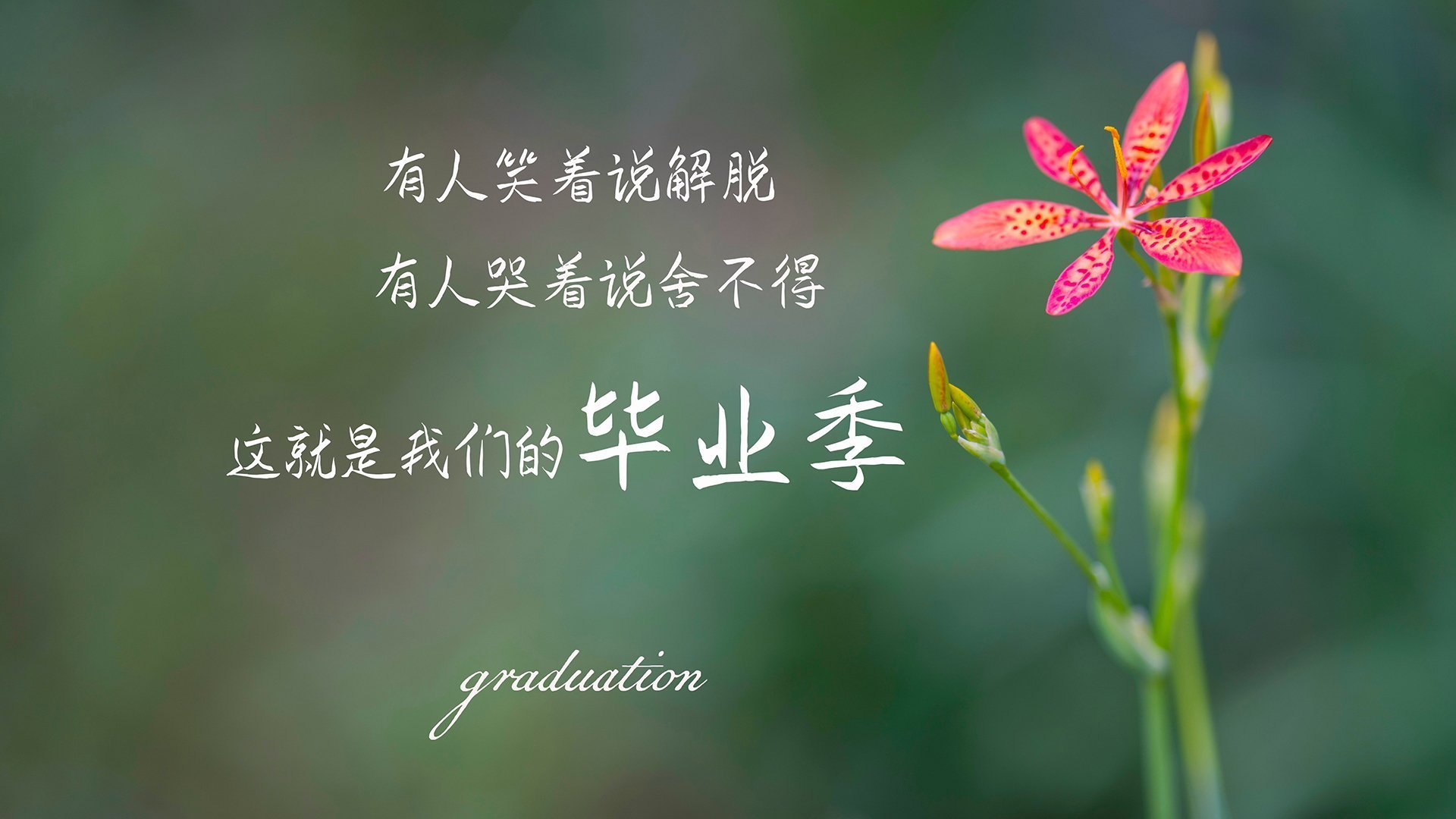 雷霆压哨战胜湖人，季后赛首轮中亚历山大锁死对手，雷霆亚历山大季后赛数据