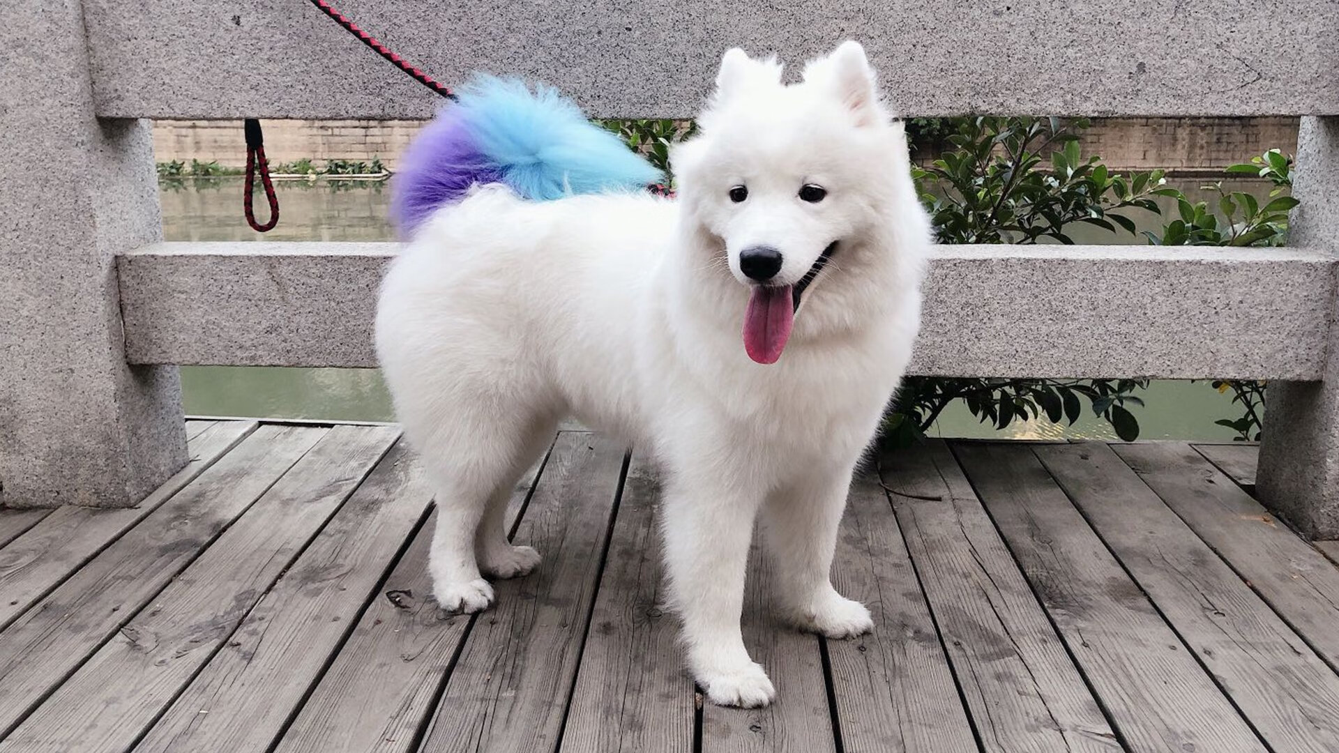 自由泳长程吉尔吉斯斯坦展现耐力节奏，吉尔吉斯斯坦自由行