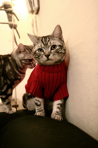 覃海洋男子200米蛙泳决赛强势冲刺夺冠，游泳运动员覃海洋