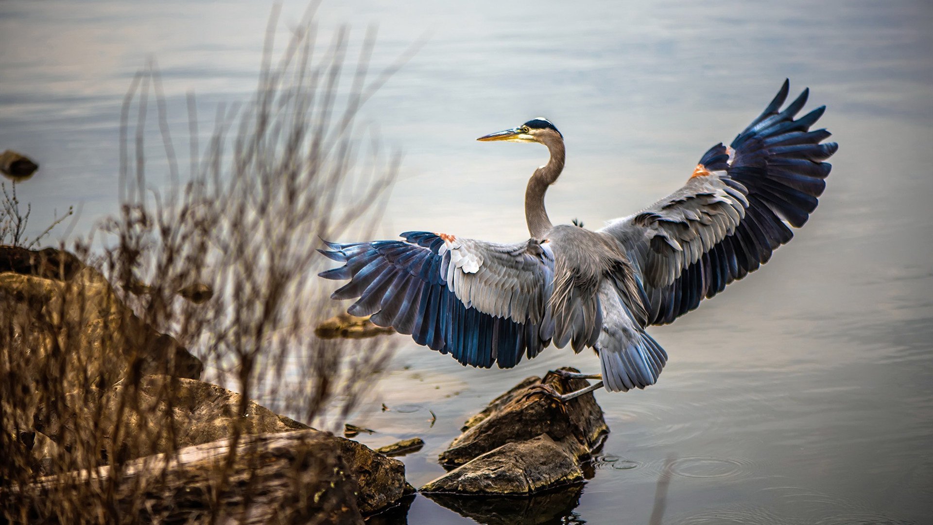 爱游戏官方-青训体系持续优化多位年轻球员进入一线阵容展现潜力，青训球员有工资吗